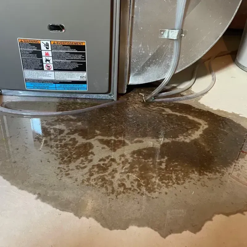 Appliance Leak Cleanup in Camden, TN